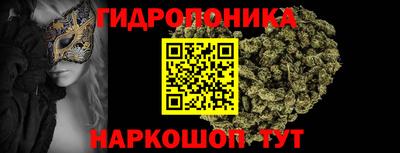 гашик Ливны