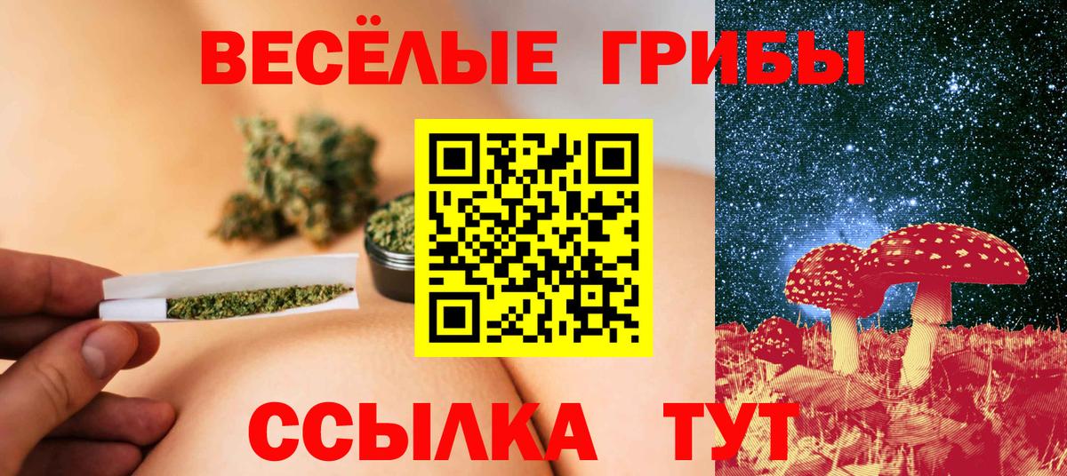 Галлюциногенные грибы Psilocybine cubensis  Вход с VPN  Северобайкальск 